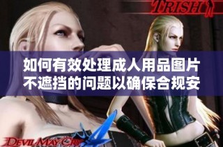 如何有效处理成人用品图片不遮挡的问题以确保合规安全
