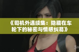《司机外遇续集：隐藏在车轮下的秘密与情感纠葛》
