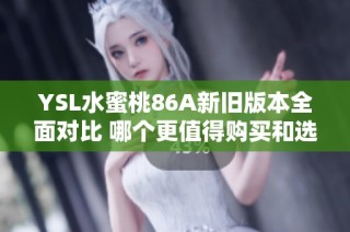 YSL水蜜桃86A新旧版本全面对比 哪个更值得购买和选择