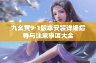 九幺黄9·1版本安装详细指导与注意事项大全