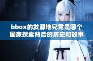 bbox的发源地究竟是哪个国家探索背后的历史和故事