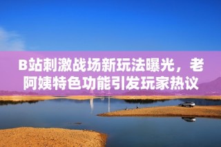 B站刺激战场新玩法曝光，老阿姨特色功能引发玩家热议与关注