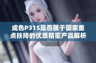成色P31S是否属于国家重点扶持的优质精密产品解析
