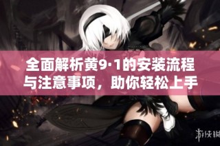 全面解析黄9·1的安装流程与注意事项，助你轻松上手