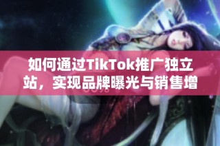 如何通过TikTok推广独立站，实现品牌曝光与销售增长