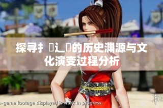 探寻扌喿辶畐的历史渊源与文化演变过程分析