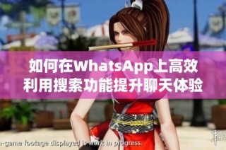 如何在WhatsApp上高效利用搜索功能提升聊天体验