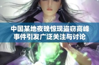 中国某地夜晚惊现盗窃高峰事件引发广泛关注与讨论