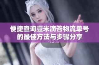 便捷查询壹米滴答物流单号的最佳方法与步骤分享