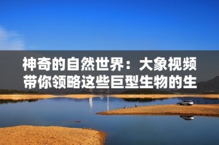 神奇的自然世界：大象视频带你领略这些巨型生物的生活与习性