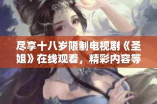 尽享十八岁限制电视剧《圣姐》在线观看，精彩内容等你来发现