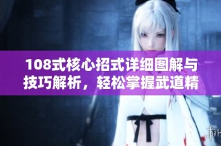 108式核心招式详细图解与技巧解析，轻松掌握武道精髓