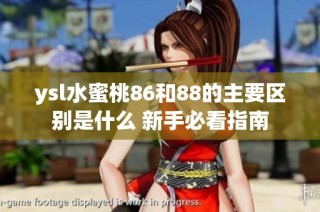 ysl水蜜桃86和88的主要区别是什么 新手必看指南