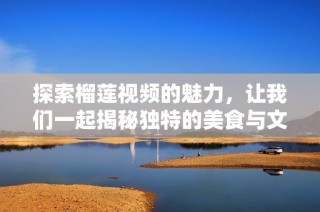 探索榴莲视频的魅力，让我们一起揭秘独特的美食与文化体验
