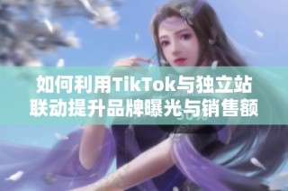 如何利用TikTok与独立站联动提升品牌曝光与销售额