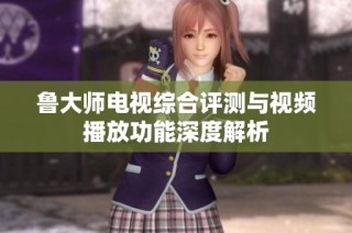 鲁大师电视综合评测与视频播放功能深度解析