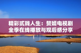 精彩贰贱人生：赘婿电视剧全季在线播放与观后感分享