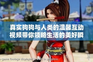 真实狗狗与人类的温馨互动视频带你领略生活的美好瞬间