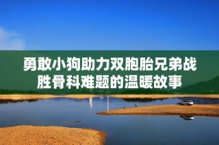 勇敢小狗助力双胞胎兄弟战胜骨科难题的温暖故事