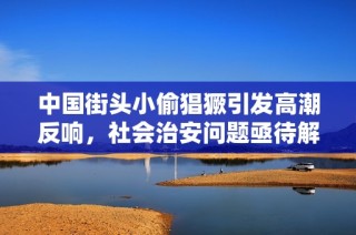 中国街头小偷猖獗引发高潮反响，社会治安问题亟待解决