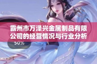 霸州市万泽兴金属制品有限公司的经营情况与行业分析报告