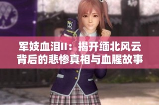 军妓血泪II：揭开缅北风云背后的悲惨真相与血腥故事