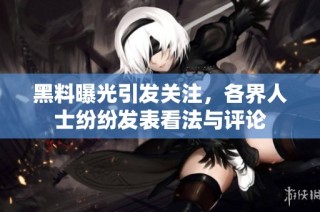 黑料曝光引发关注，各界人士纷纷发表看法与评论
