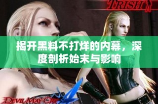 揭开黑料不打烊的内幕，深度剖析始末与影响