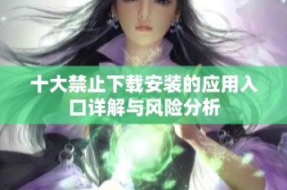 十大禁止下载安装的应用入口详解与风险分析