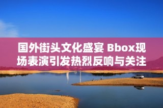 国外街头文化盛宴 Bbox现场表演引发热烈反响与关注