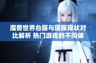 魔兽世界台服与国服现状对比解析 热门游戏的不同体验分析