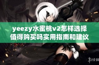 yeezy水蜜桃v2怎样选择值得购买吗实用指南和建议分享