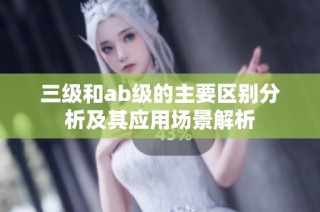 三级和ab级的主要区别分析及其应用场景解析