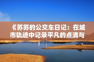《苏苏的公交车日记：在城市轨迹中记录平凡的点滴与感悟》