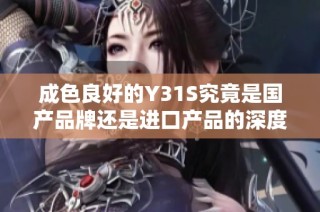 成色良好的Y31S究竟是国产品牌还是进口产品的深度解析
