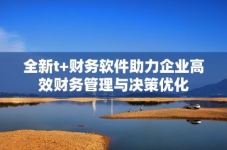 全新t+财务软件助力企业高效财务管理与决策优化