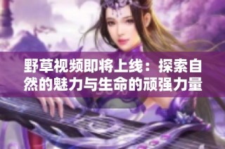 野草视频即将上线：探索自然的魅力与生命的顽强力量