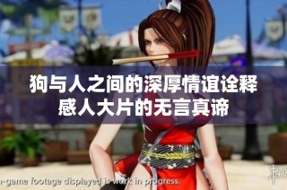 狗与人之间的深厚情谊诠释感人大片的无言真谛