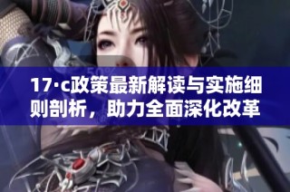 17·c政策最新解读与实施细则剖析，助力全面深化改革与发展