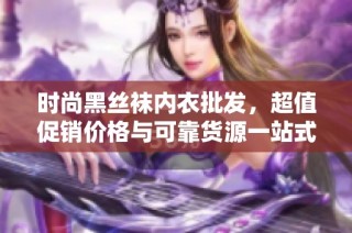 时尚黑丝袜内衣批发，超值促销价格与可靠货源一站式购物体验