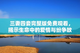 三妻四妾完整版免费观看，揭示生命中的爱情与纷争故事
