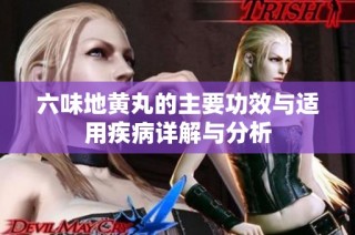 六味地黄丸的主要功效与适用疾病详解与分析