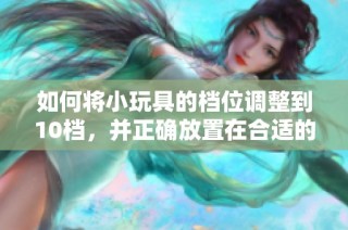 如何将小玩具的档位调整到10档，并正确放置在合适的地方