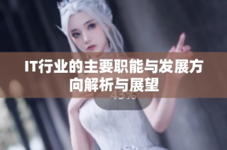 IT行业的主要职能与发展方向解析与展望