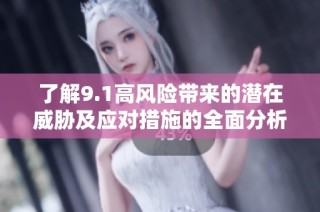 了解9.1高风险带来的潜在威胁及应对措施的全面分析