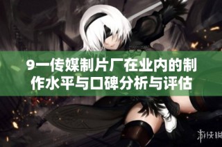 9一传媒制片厂在业内的制作水平与口碑分析与评估