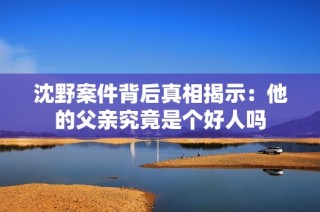 沈野案件背后真相揭示：他的父亲究竟是个好人吗
