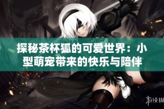 探秘茶杯狐的可爱世界：小型萌宠带来的快乐与陪伴