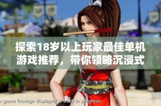 探索18岁以上玩家最佳单机游戏推荐，带你领略沉浸式游戏体验