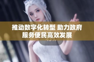 推动数字化转型 助力政府服务便民高效发展